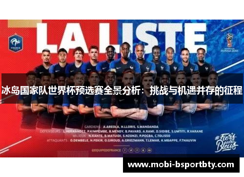 冰岛国家队世界杯预选赛全景分析：挑战与机遇并存的征程