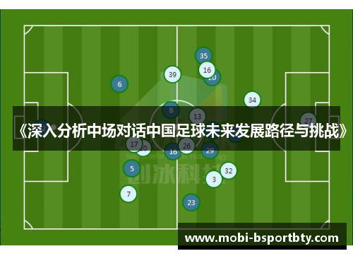 《深入分析中场对话中国足球未来发展路径与挑战》