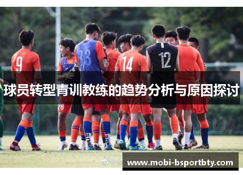 球员转型青训教练的趋势分析与原因探讨