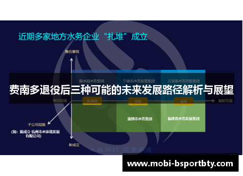 费南多退役后三种可能的未来发展路径解析与展望