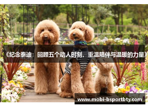 《纪念泰迪：回顾五个动人时刻，重温陪伴与温暖的力量》