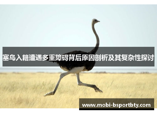 塞鸟入籍遭遇多重障碍背后原因剖析及其复杂性探讨