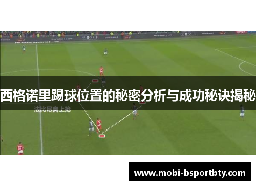 西格诺里踢球位置的秘密分析与成功秘诀揭秘