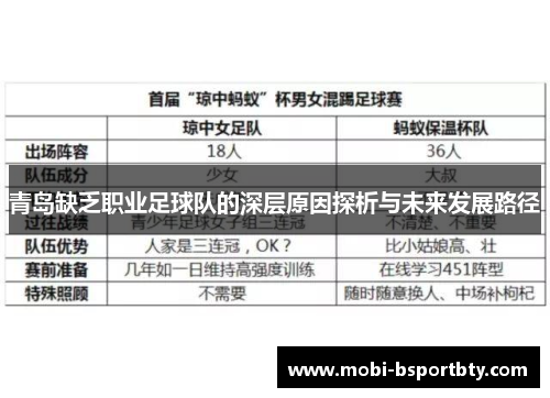 青岛缺乏职业足球队的深层原因探析与未来发展路径